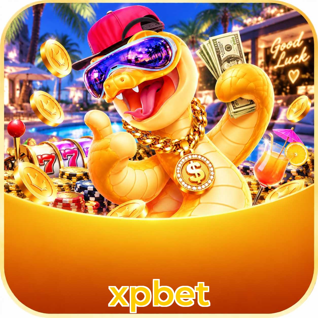 xpbet